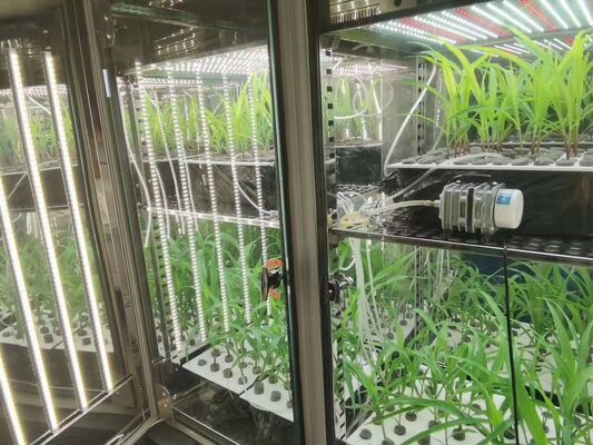 লিই উদ্ভিদ বৃদ্ধি চেম্বার কৃত্রিম জলবায়ু বীজ বীজান মেশিন উদ্ভিদ বৃদ্ধি বক্স ইনকিউবেটর